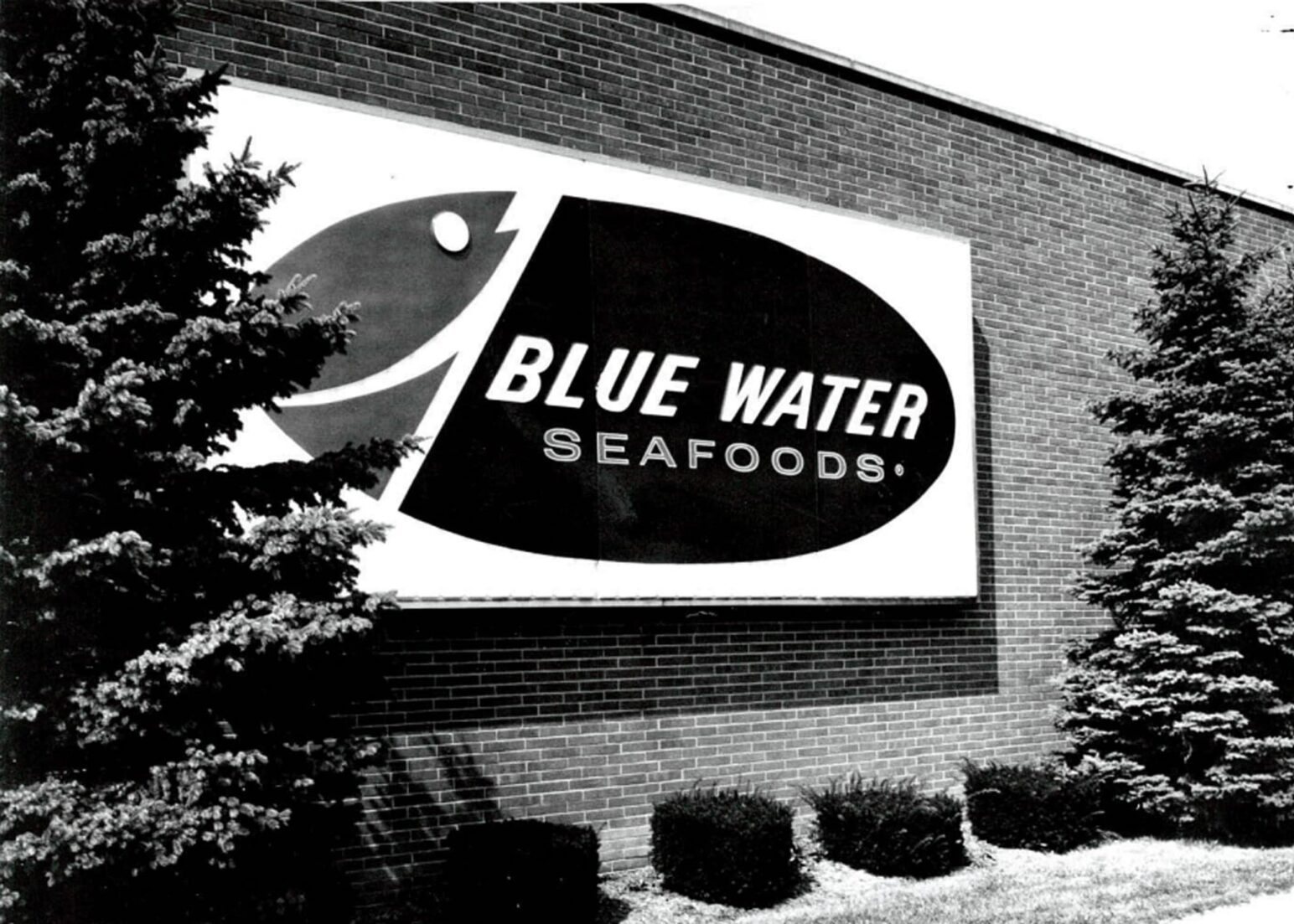 BlueWater Seafoods old logo on a building