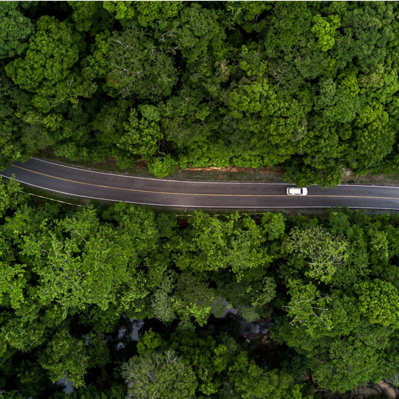 Vue à vol d'oiseau d'une voiture roulant sur une route entourée d'arbres