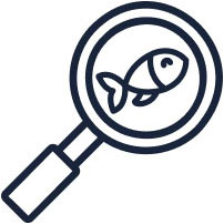 Fish under magnifying glass